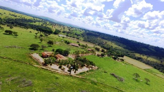 Fazenda em Ipameri (Soja e Pasto ; Beira Asfalto) - Foto 4