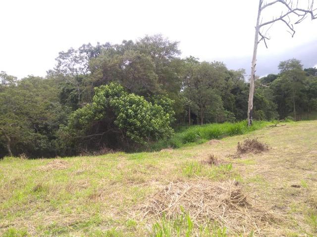 05- Alô Região ótimos preços em 1000mt² - Foto 3