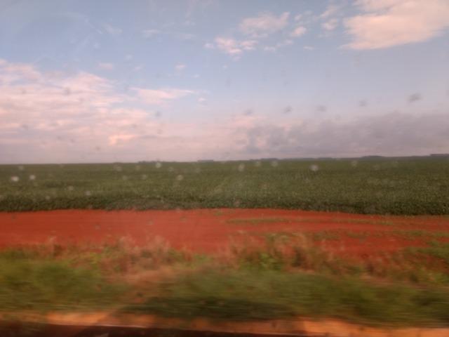 Alugo Fazenda p Arrendamento no Ms 1000 há - Foto 6