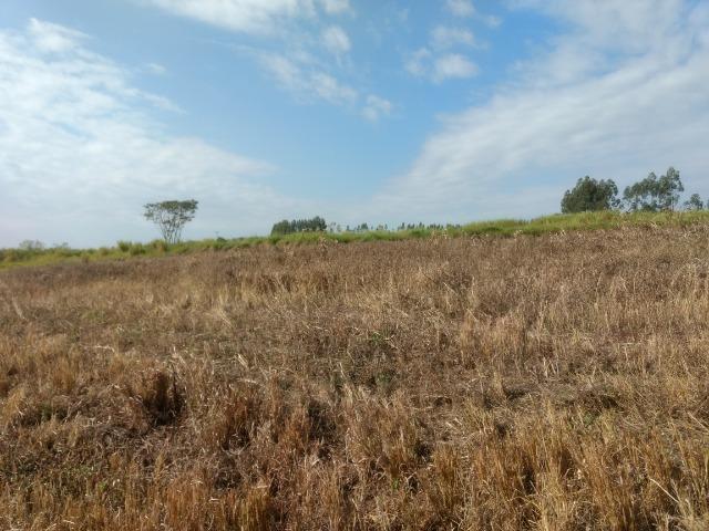Alugo Fazenda p Arrendamento no Ms 1000 há - Foto 19