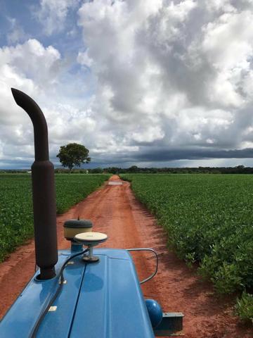 Fazenda Porangatu 100 alqueros - Foto 4
