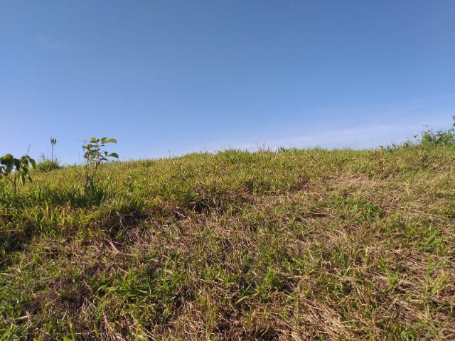 05- Paz em um lote de 1000mt² em área Rural - Foto 15