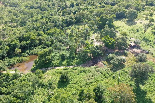 Fazenda de 25 Alqueires, Município Araguapaz-Go
