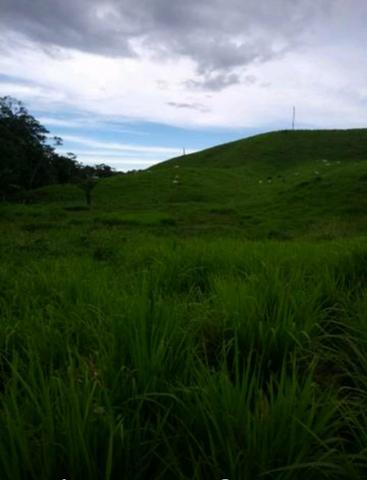 Fazenda ( Colônia) - Foto 9