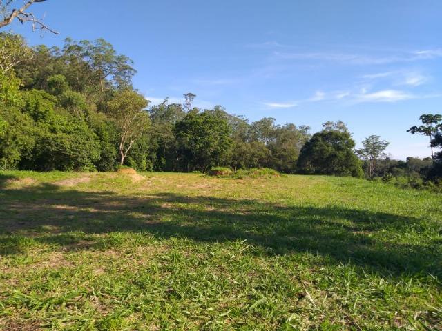 05- Paz em um lote de 1000mt² em área Rural - Foto 11