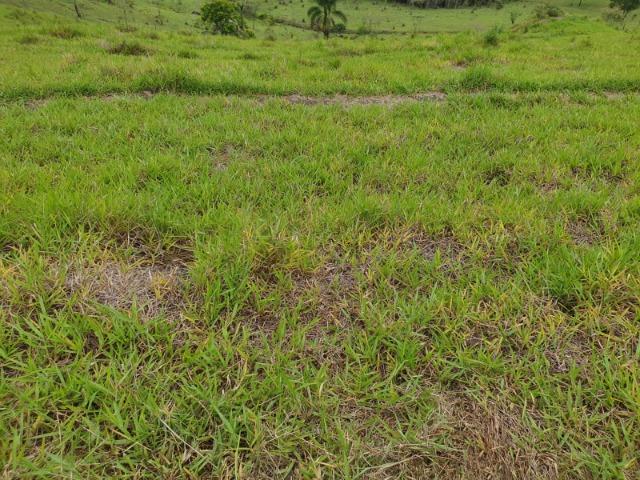 05- Alô Região ótimos preços em 1000mt² - Foto 10