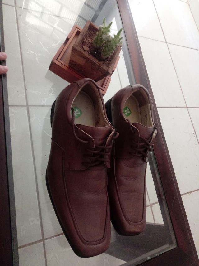Sapato social novo - Roupas e calçados - Tropical, Contagem 1012655775 | OLX
