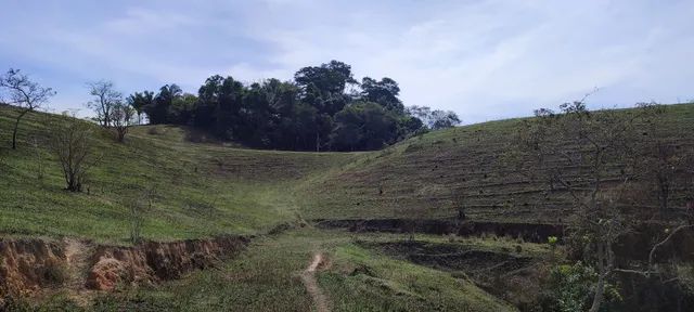 área rural com cerca de 4 alqueires ( 191.500 m2) - Foto 4