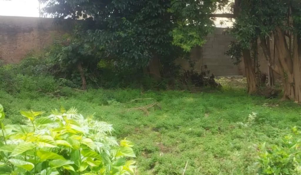 Terreno à venda em Presidente Altino, Osasco - Ótima localização e infraestrutura! - Foto 10