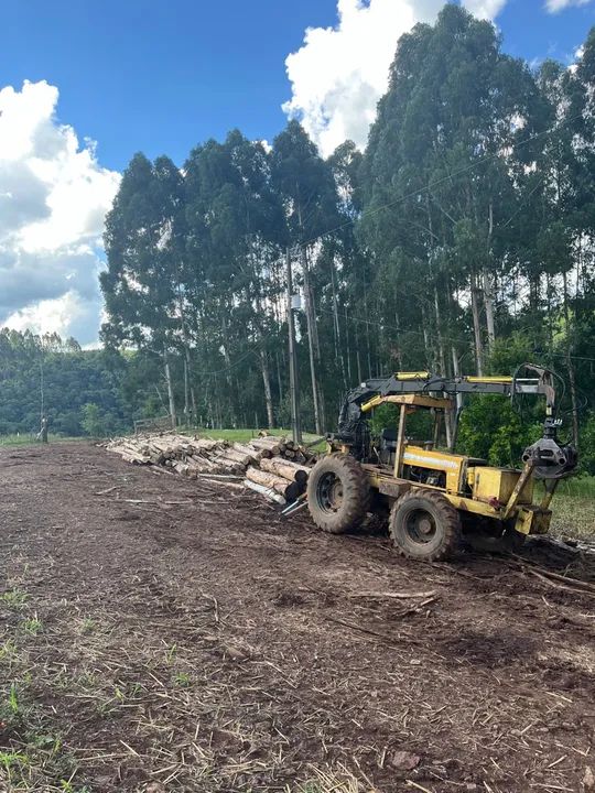 CBT 8060 4x4 Grua Florestal + Baldeador