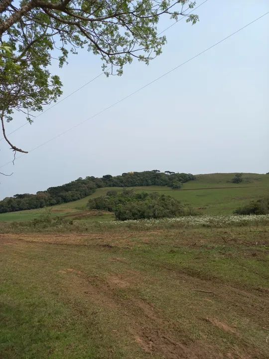 Chácara Faz. Ilhéus 2,0 Ha - Foto 3