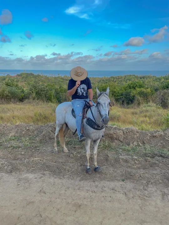Cavalo Manga Larga. - Foto 2