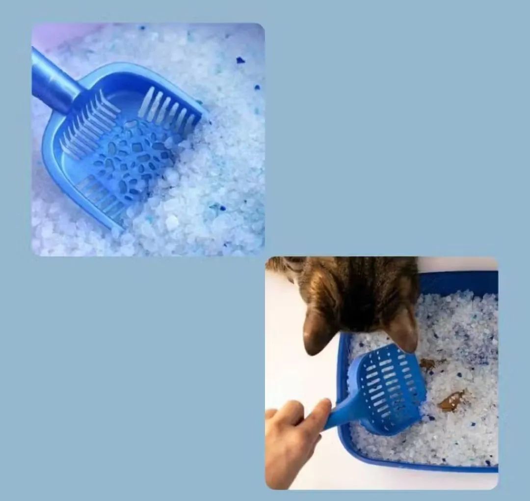 Areia Sanitária Para Gatos Anti Odor Cristais de Sílica Grossa Elo Imports Pet 1,2kg - Foto 3