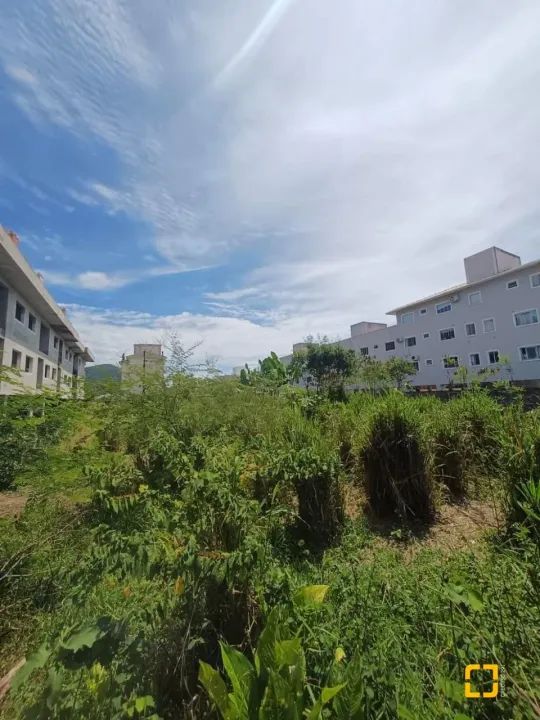 Terrenos Residenciais em Ingleses do Rio Vermelho