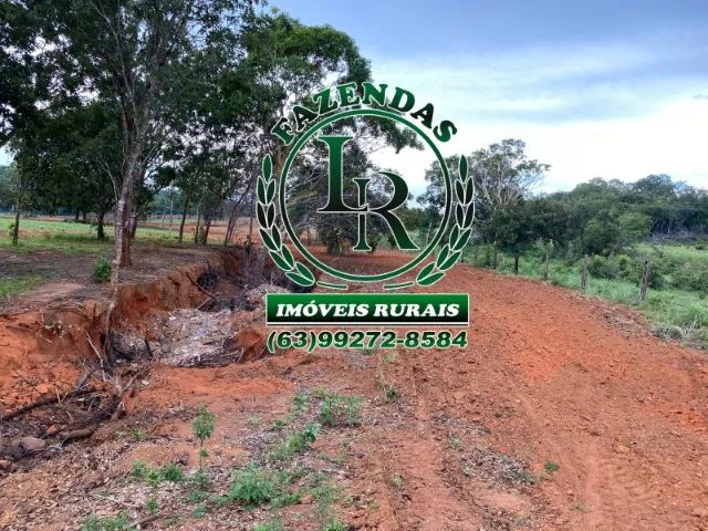 Fazenda 119 Alqueires Vale do Araguaia - Foto 4