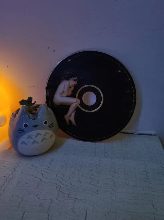 CD Alanis Morissette -  Moral Code Upon The Premise - Foto 2