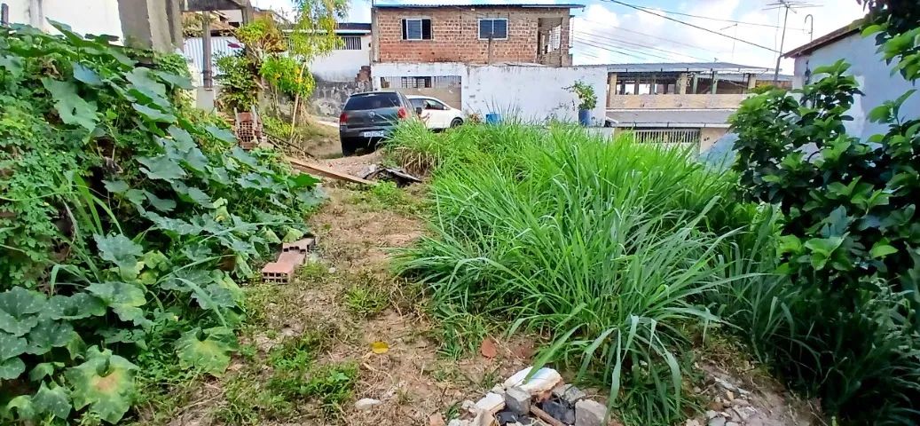 Foto - Camaragibe - Jardim Primavera