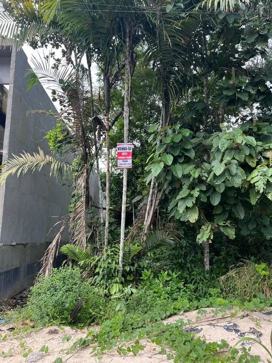 TERRENO 10 X 40 - TARUMÃ 