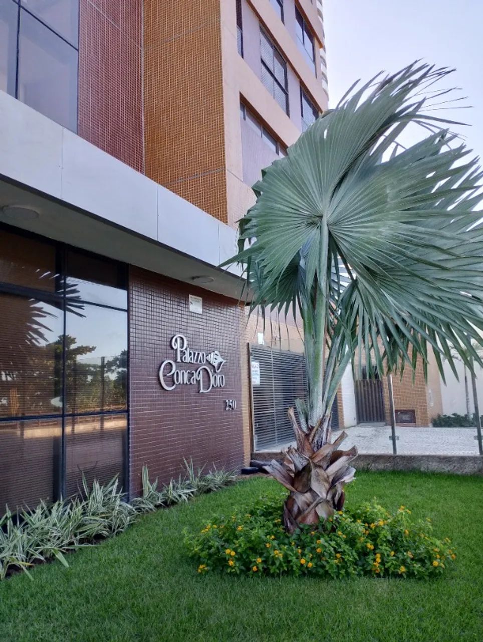 Foto - Natal - Areia Preta