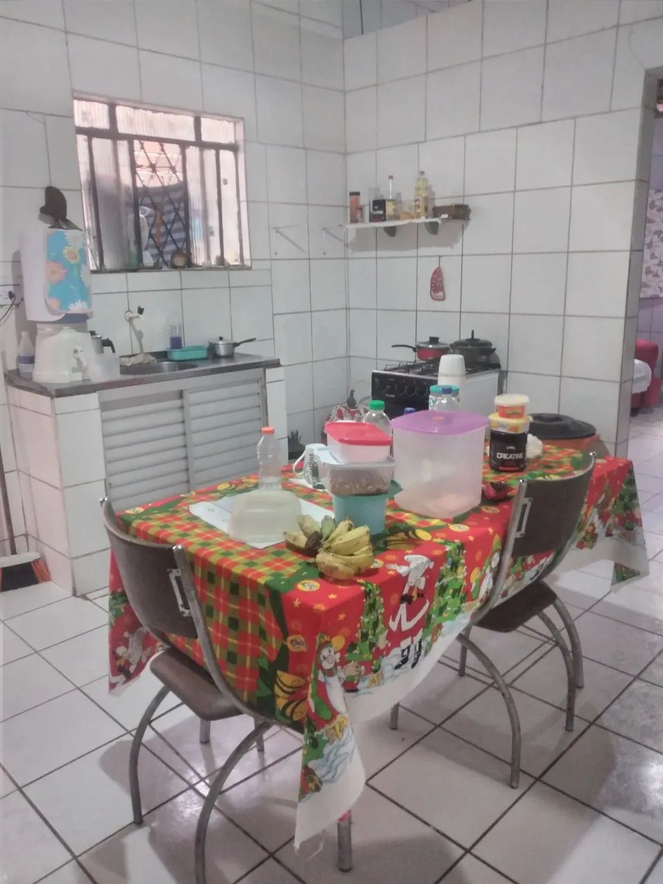 Foto - Recife - Mangueira