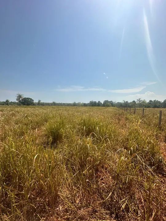 Fazenda Tocantis com 136 Alqueires - Minicipio de Cristalandia - TO - Foto 2