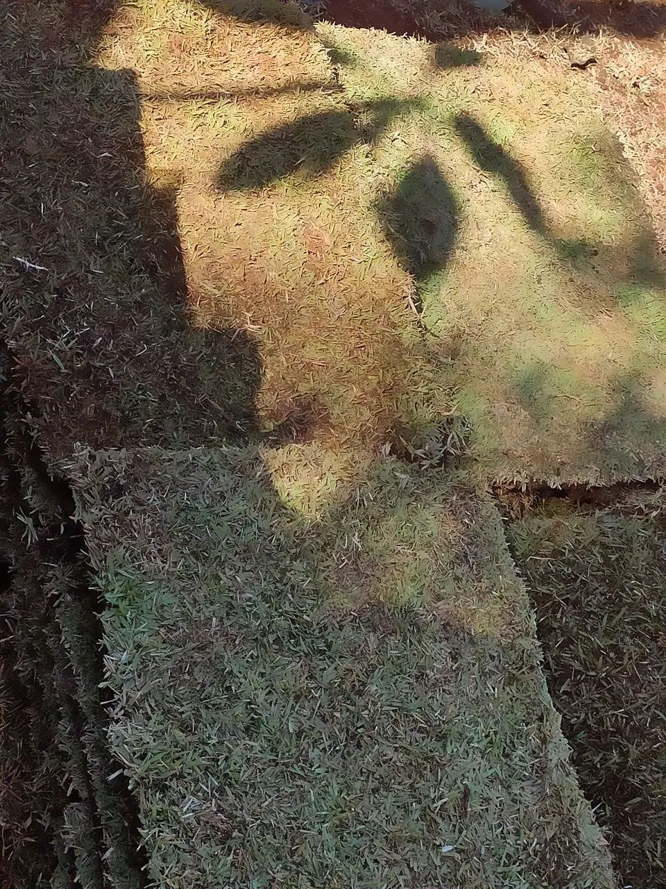 Grama batatais, esmeralda e são Carlos apartir de 9$ o metro quadrado. - Foto 4