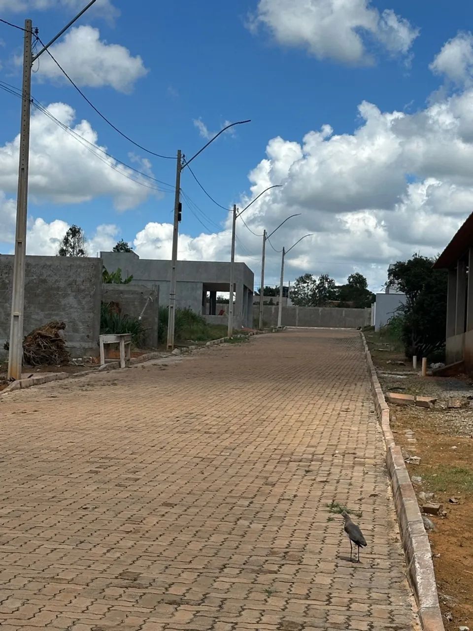 Vendo Lote Comercial 26 Setembro  - Foto 3