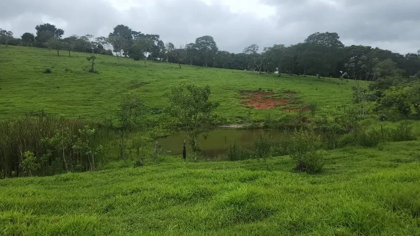 Excelente Propriedade Rural em Carmópolis de Minas/MG. - Foto 5