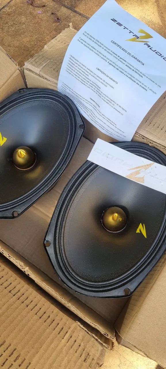 Auto falante 220rms zetta 6x9