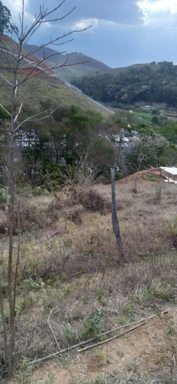 Terreno em Grama - Foto 4