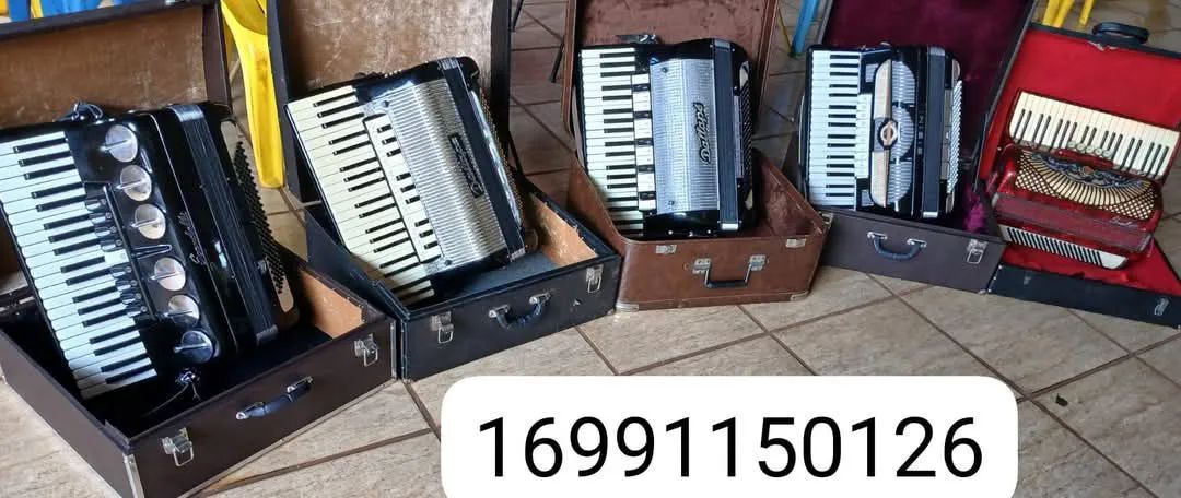 Acordeon Sanfona de várias marcas e modelos 
