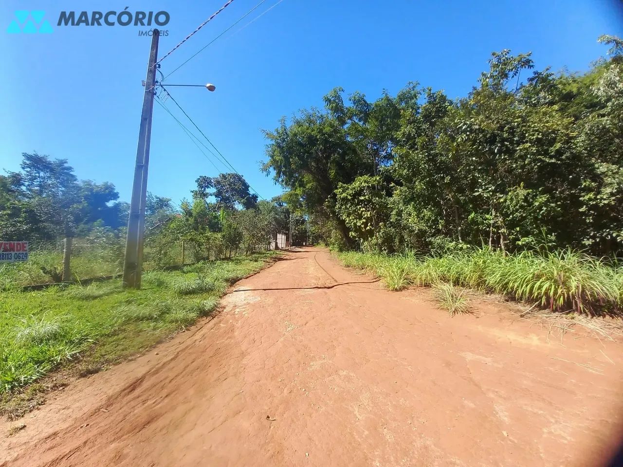Chácara à venda, Condomínio das Palmeiras, Bela Vista de Goiás, GO - Foto 3