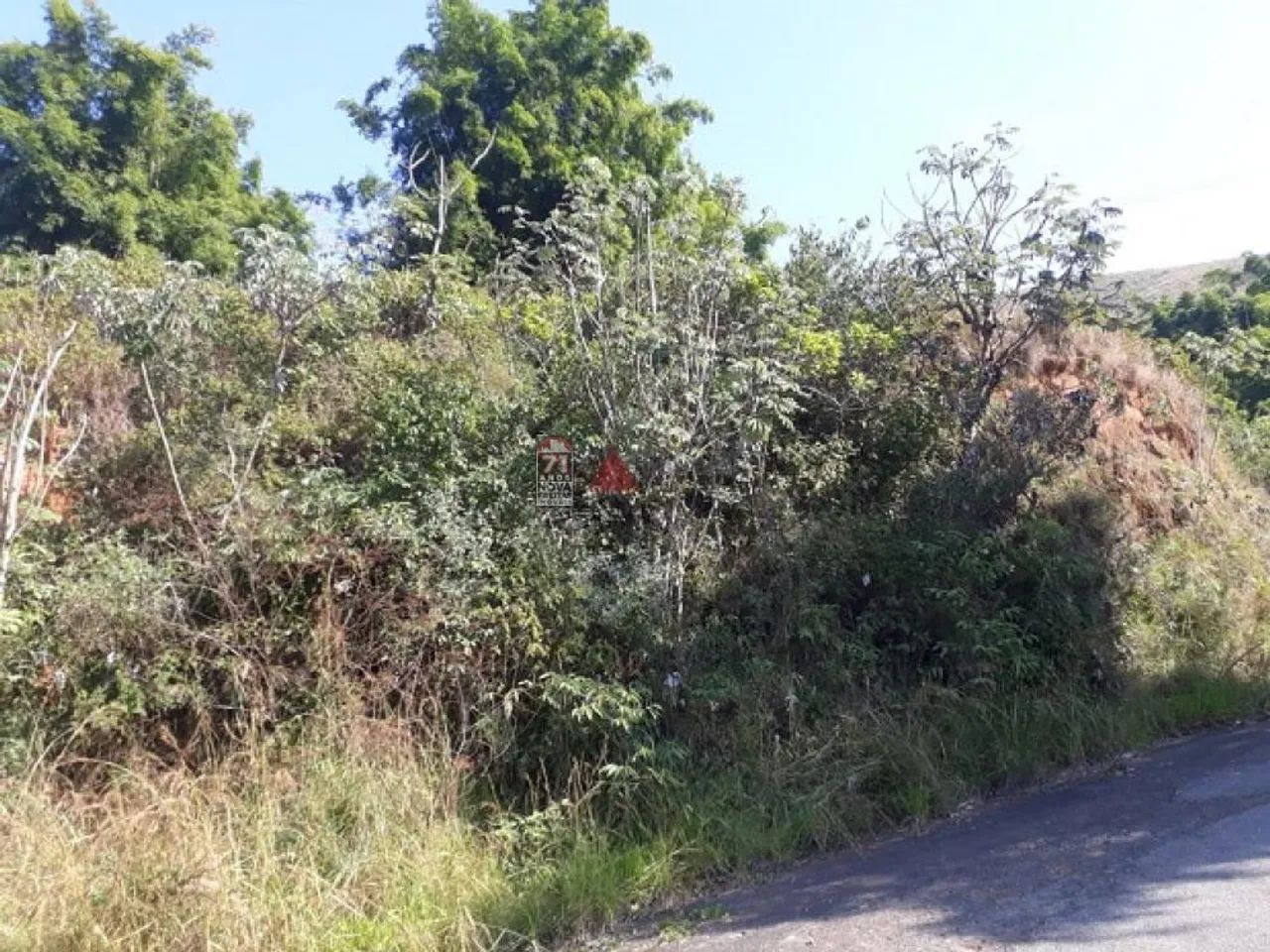Terreno Área em Pindamonhangaba - Foto 3