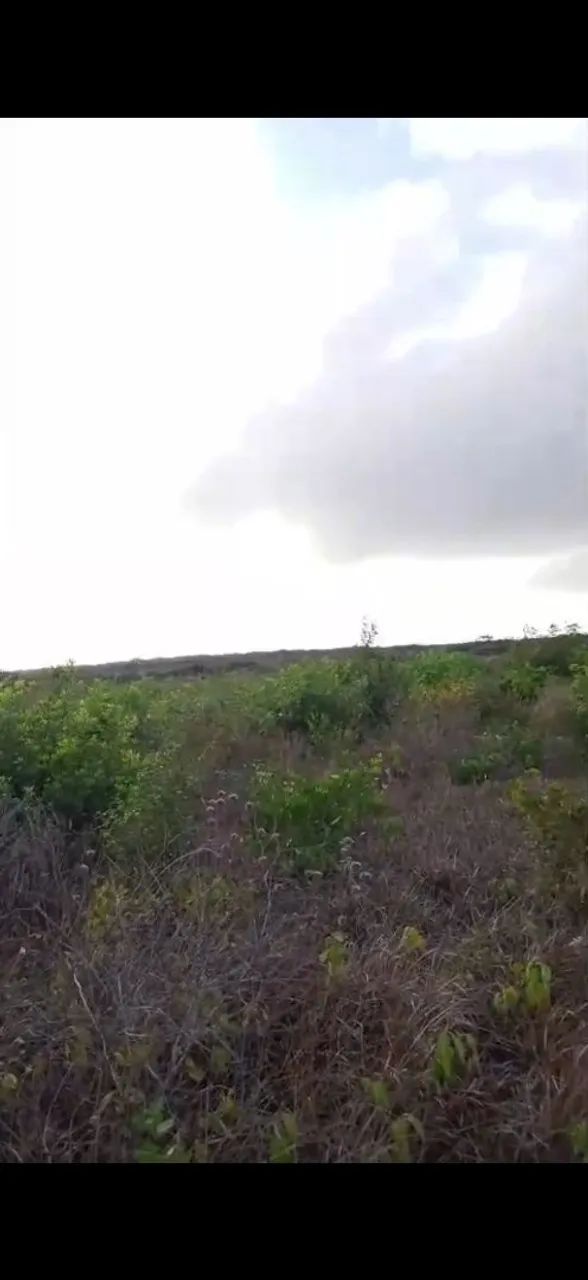 Terreno em Barreirinhas 