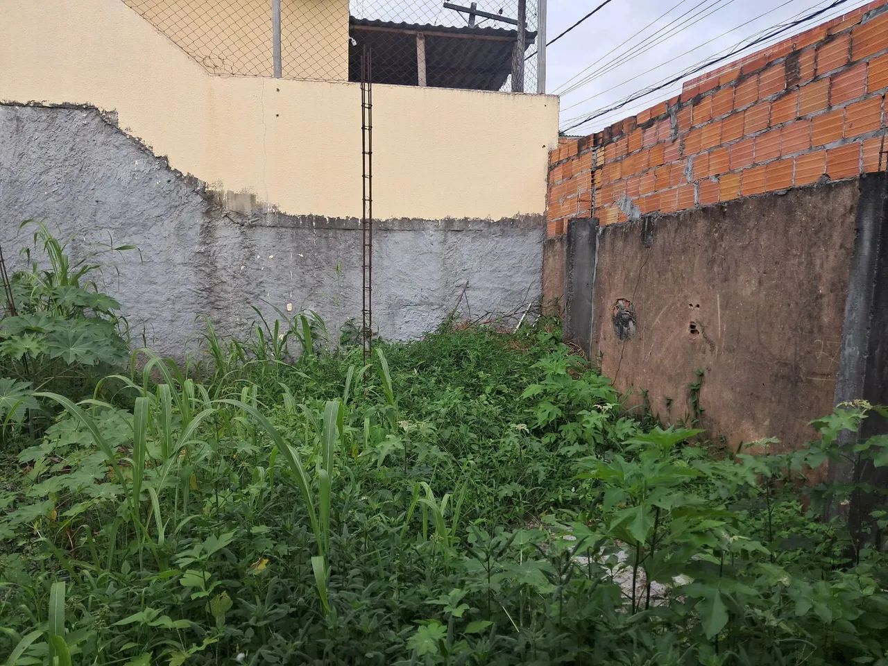 Terreno 100m2 todo murado  - Foto 3