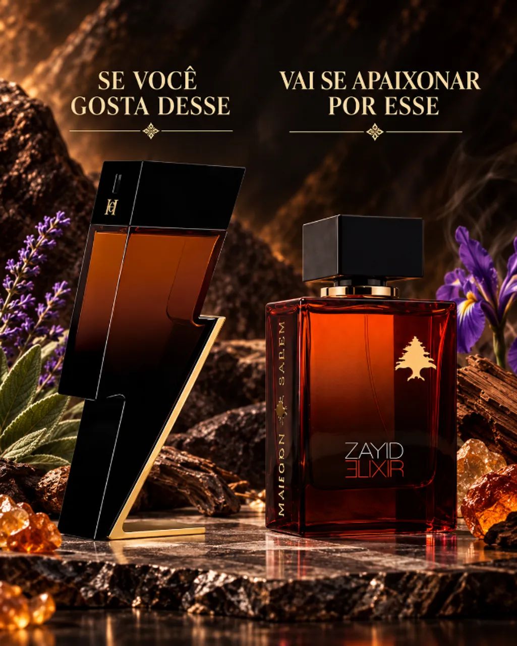 Maison Salem Zayid Elixir EDP 100ml - Foto 2