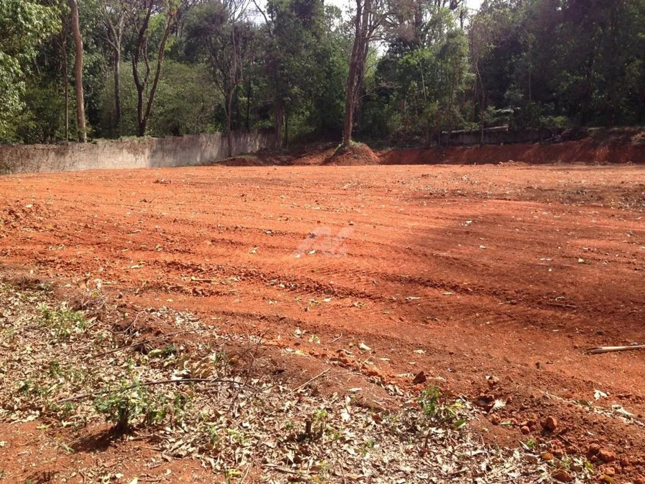 terreno - Parque São Quirino - Campinas - Foto 2