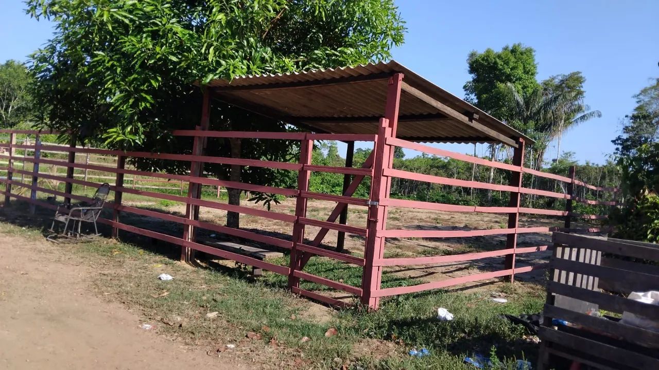 Vendo este terreno  - Foto 2