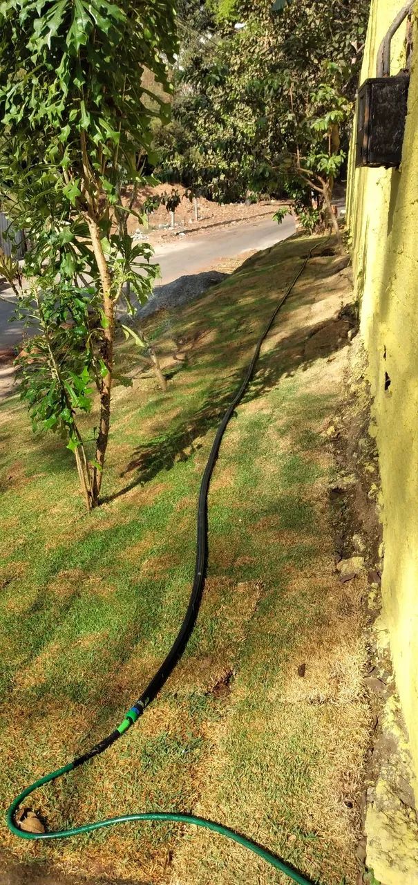 Jardinagem completa - Foto 4