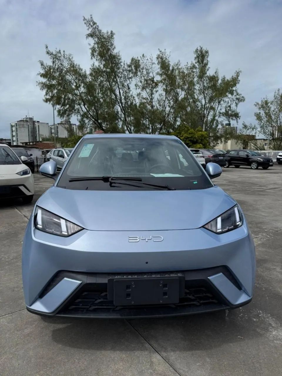 BYD Dolphin Mini (Elétrico) 2027