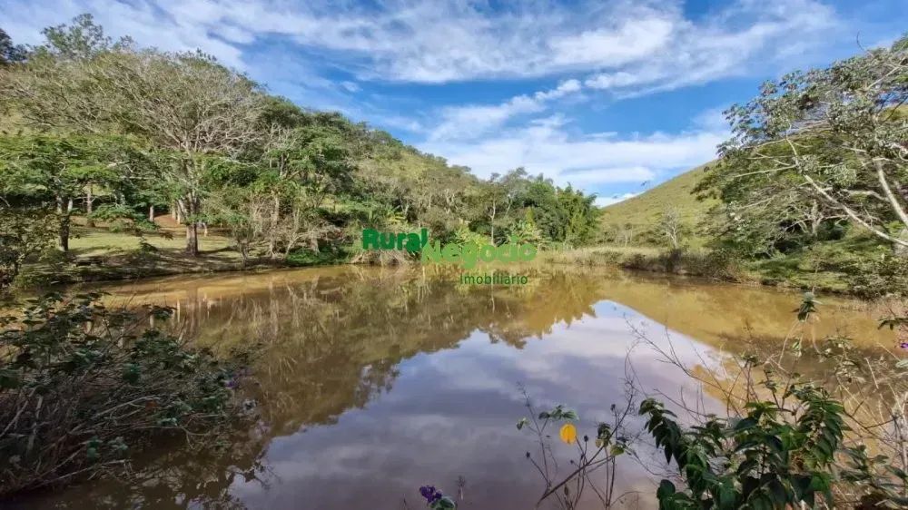SÍTIO FORMADO COM LAGOS E PASTO Á VENDA EM APARECIDA-SP - Foto 3