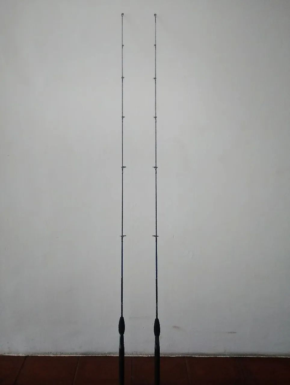 Varas de pesca 