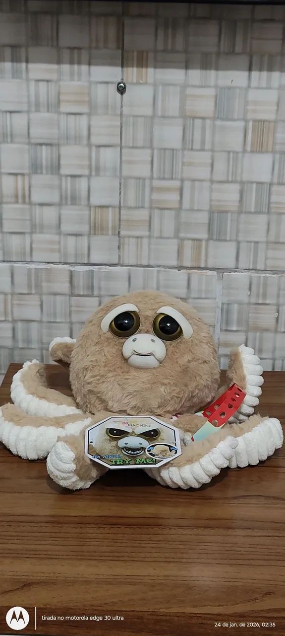 Dupla Fundo do Mar. ? ? - Foto 3