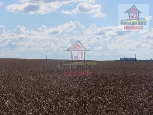 Fazenda à venda, 2.100 HA - Dourados/MS - Foto 2