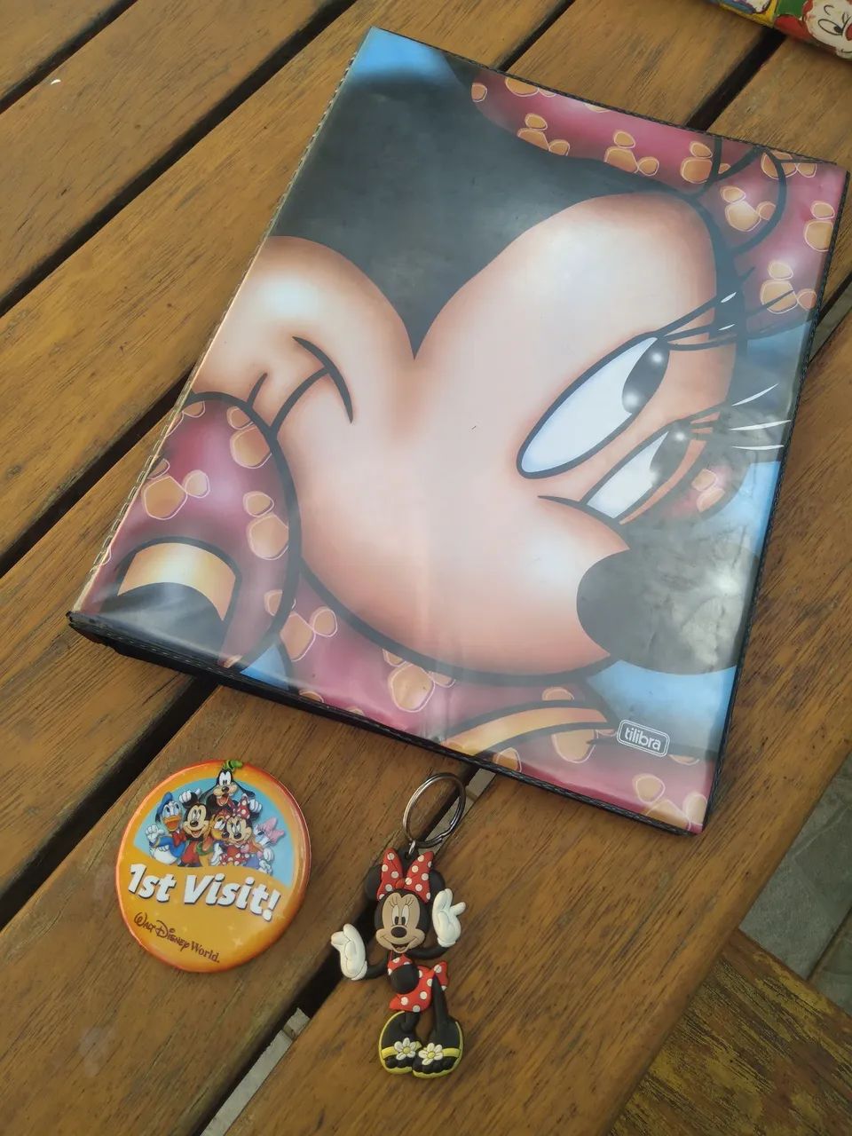 Fichário Minnie
