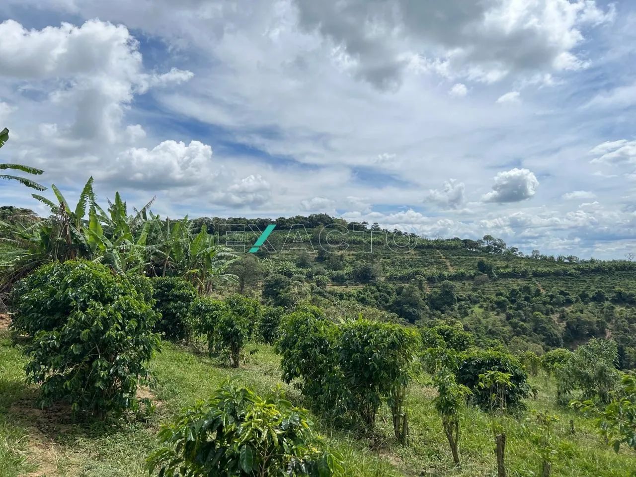fazenda - Centro - Carmo de Minas - Foto 5