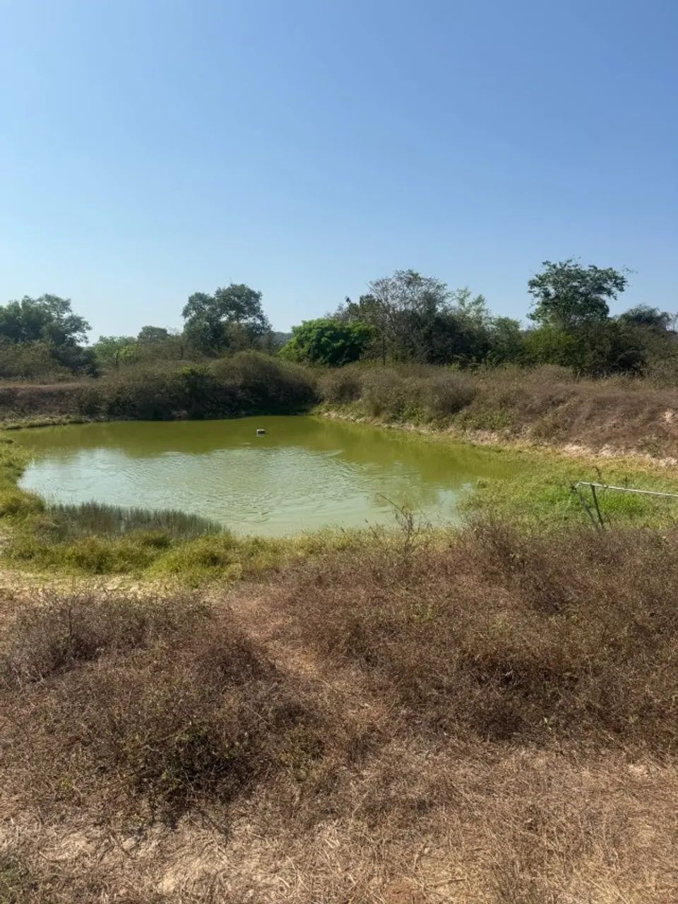 Fazenda em Altos/PI - Foto 4