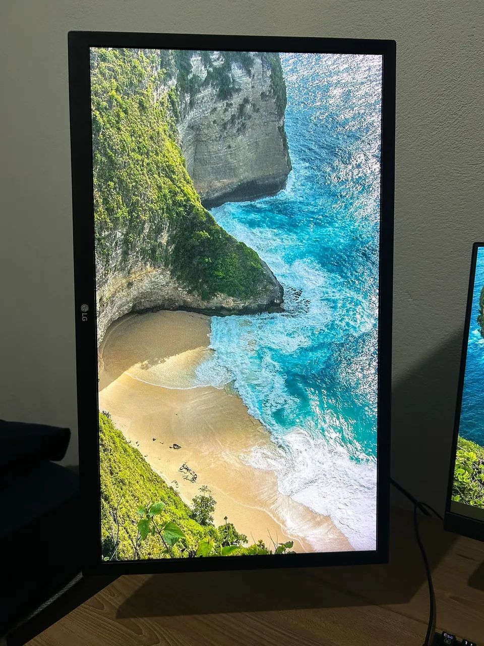 Monitor FHD LG 23.8"