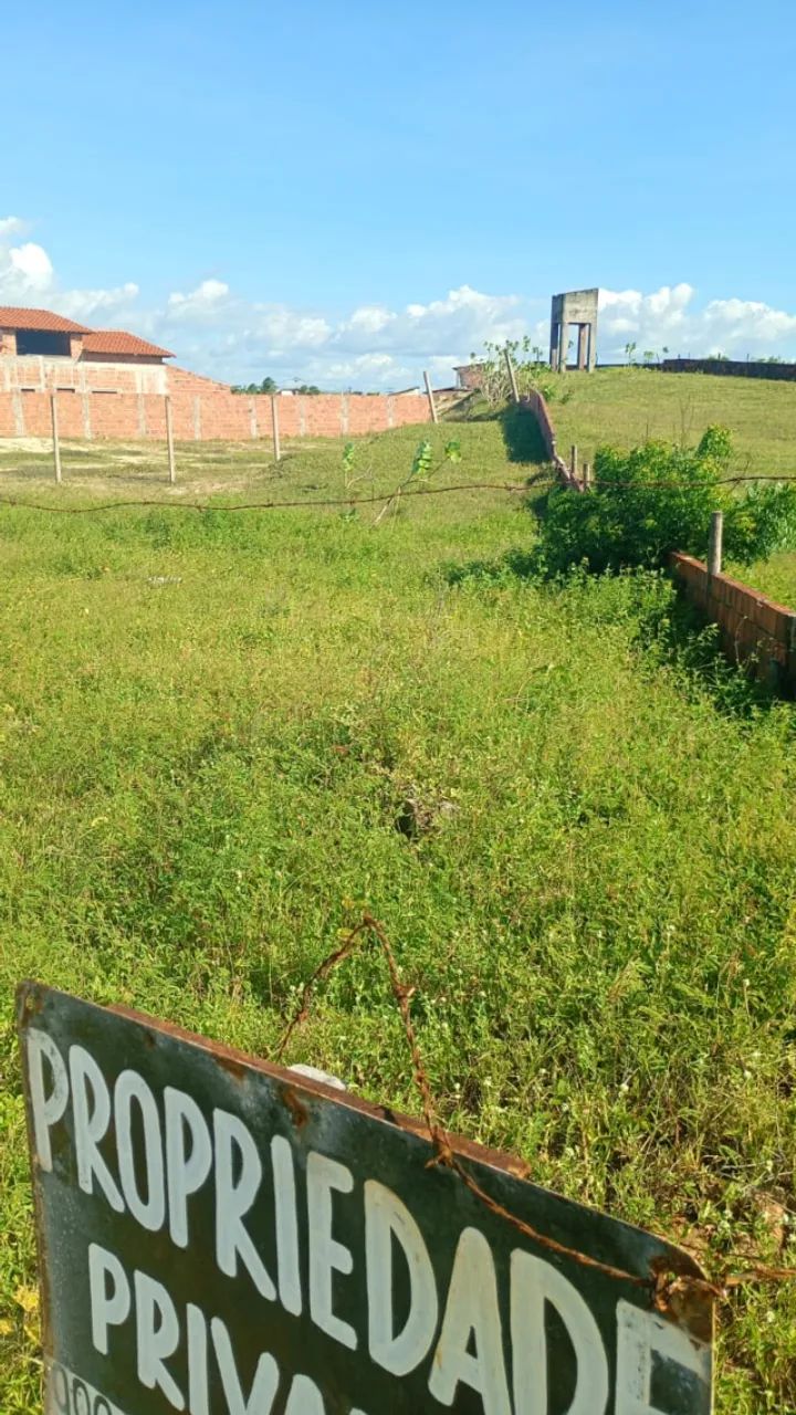 TERRENO NA ESTRADA DA TAIBA - Foto 4