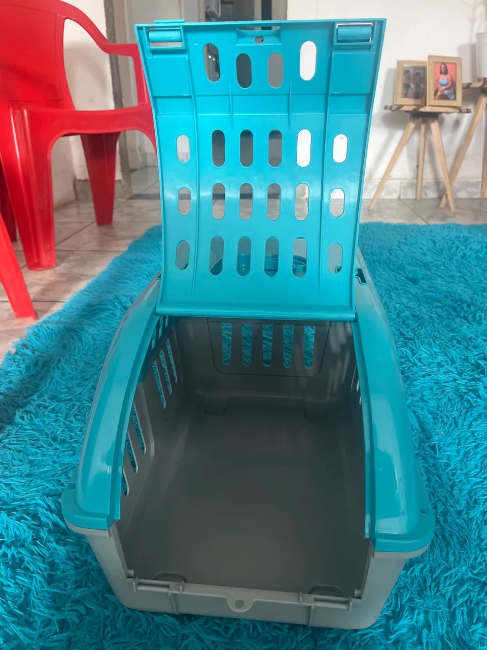 Casa de passeio de cachorro - Foto 2